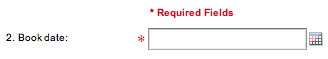 Red asterisk has been used to mark mandatory fields