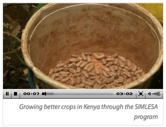 Growing better crops in Kenya video with no transcript
